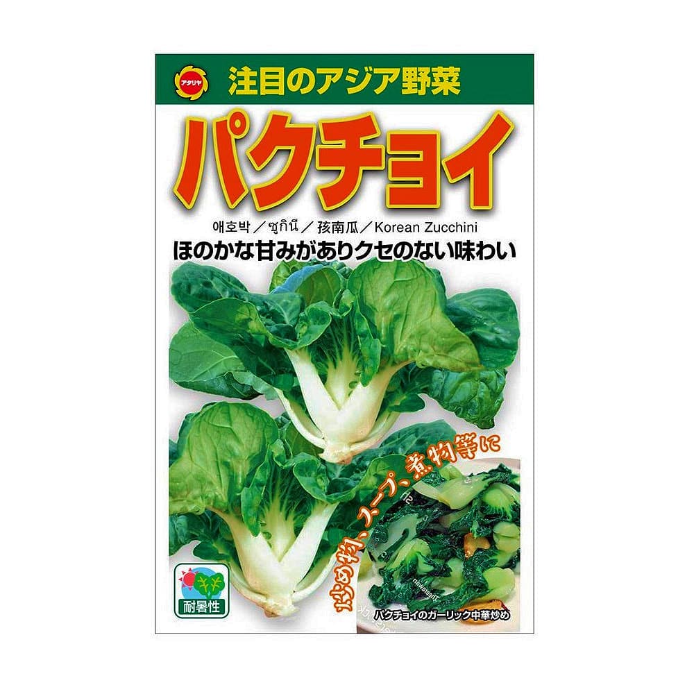 アタリヤ農園　パクチョイ
