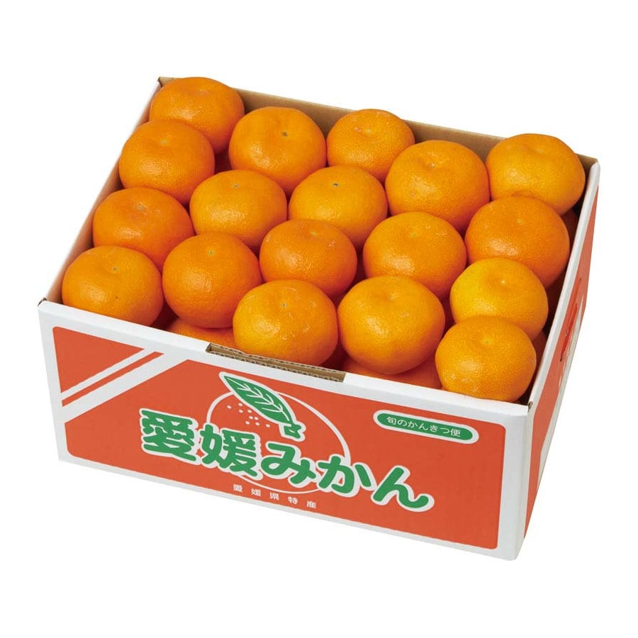 【25年お歳暮】愛媛みかん Y13-6B【注文期限12月13日】