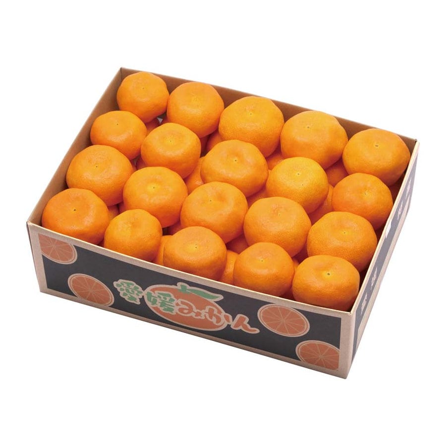 【２５年お歳暮】愛媛みかん　Ｂ１３－４【注文期限１２月１３日】