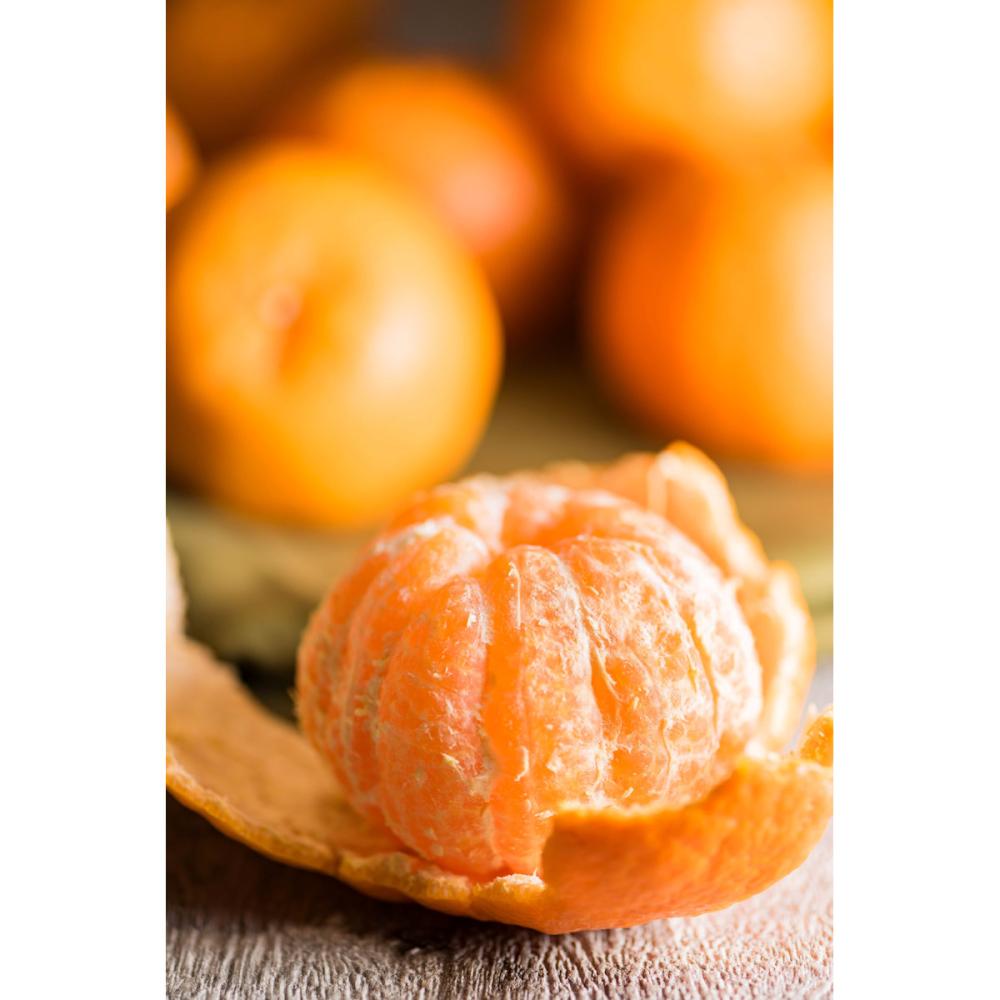 愛媛県産　ポンカン家庭用　Ｍ～３Ｌサイズ混合　約１０ｋｇ入り【新春福袋】