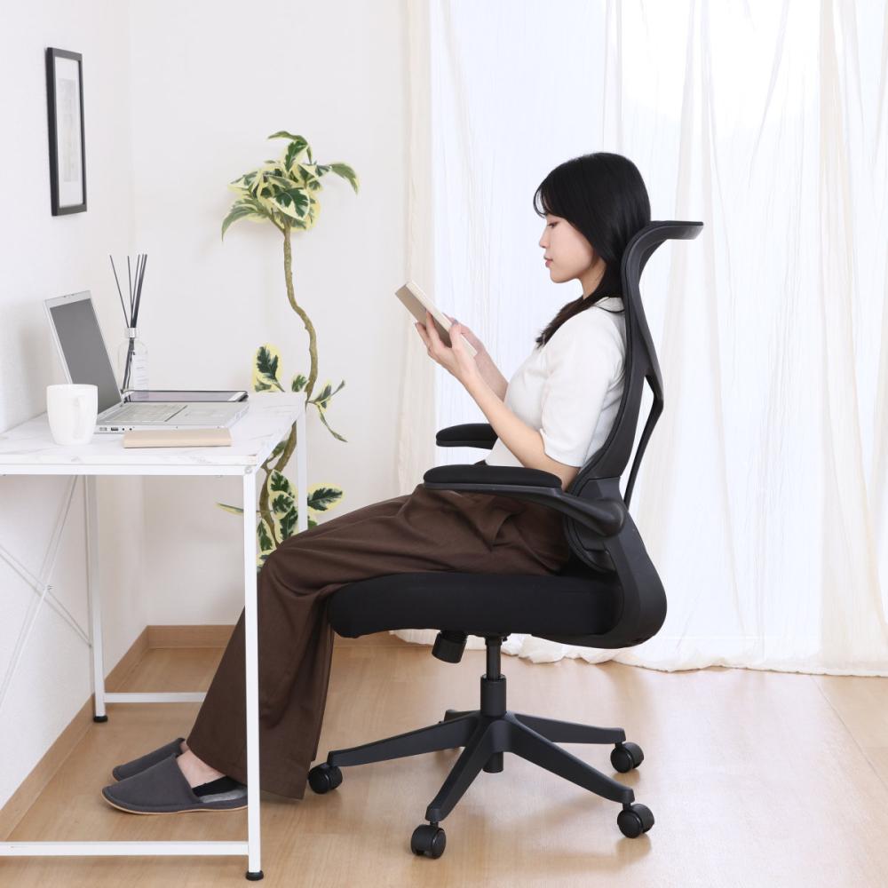 不二貿易 ハイバックメッシュチェア エアロ ブラック の通販