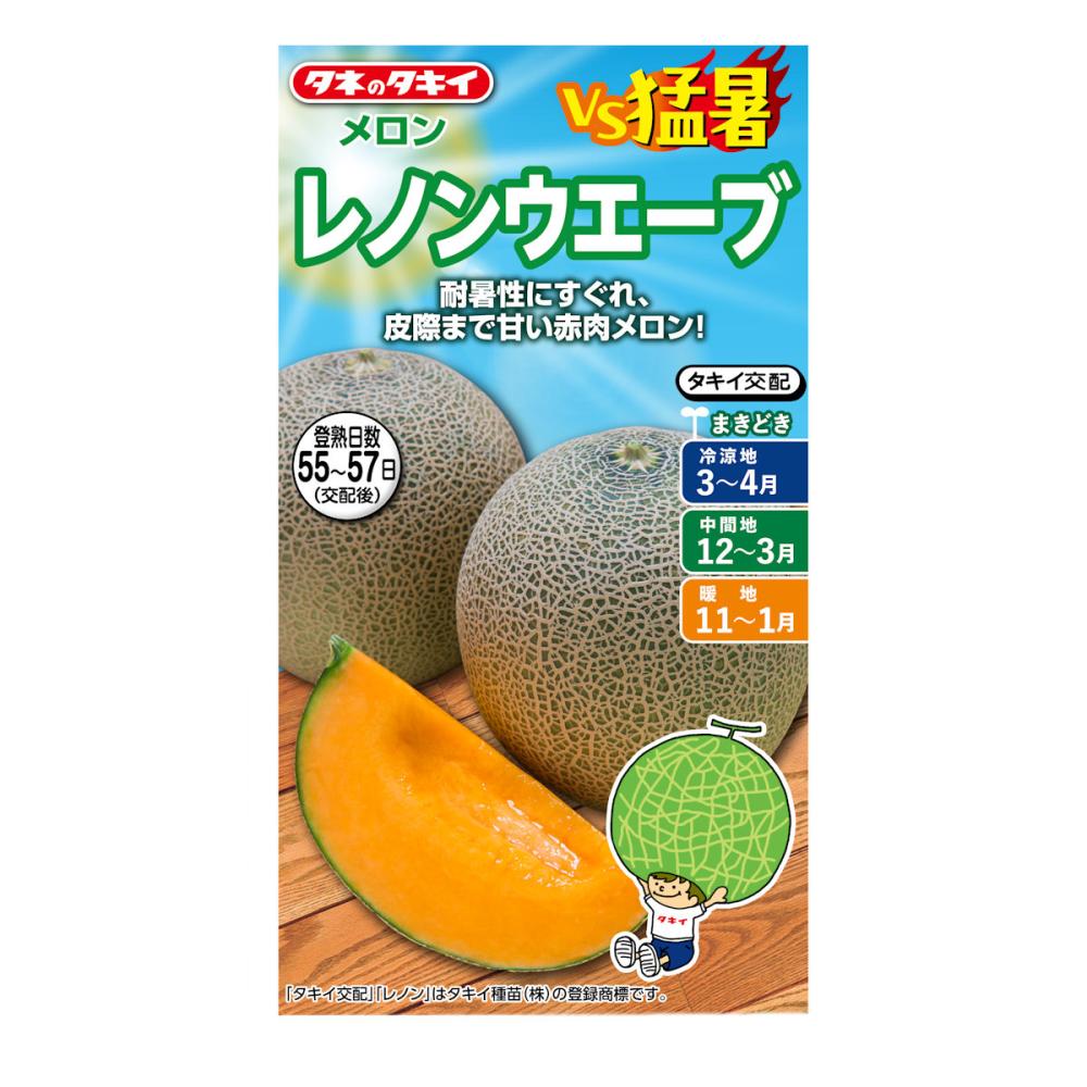 メロン種子　ＶＳ猛暑　メロン　レノンウエーブ