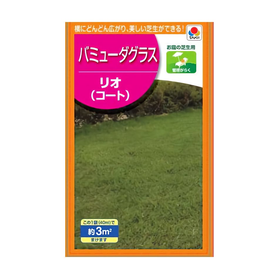 バミューダグラス種子　リオ（コート）