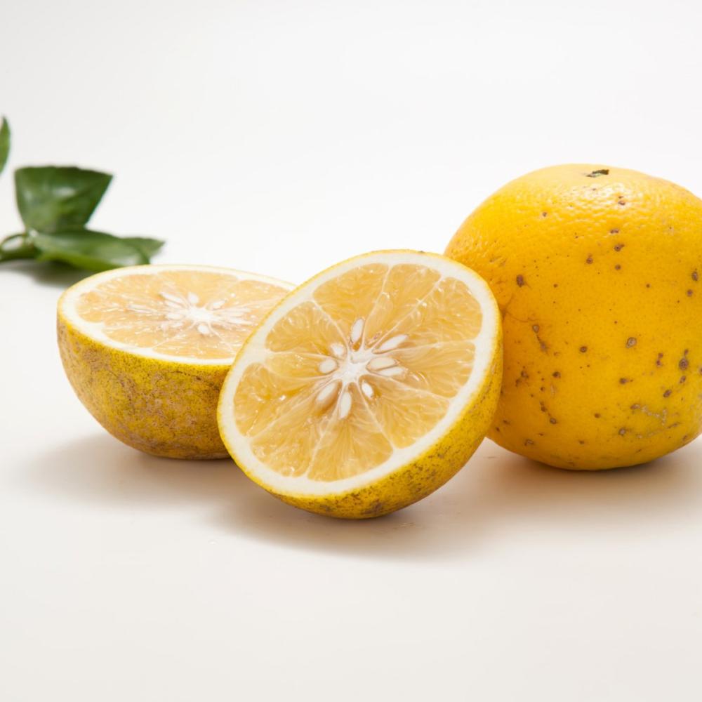 熊本県産　グレープフルーツ　良品家庭用　サイズ混合　約１０ｋｇ