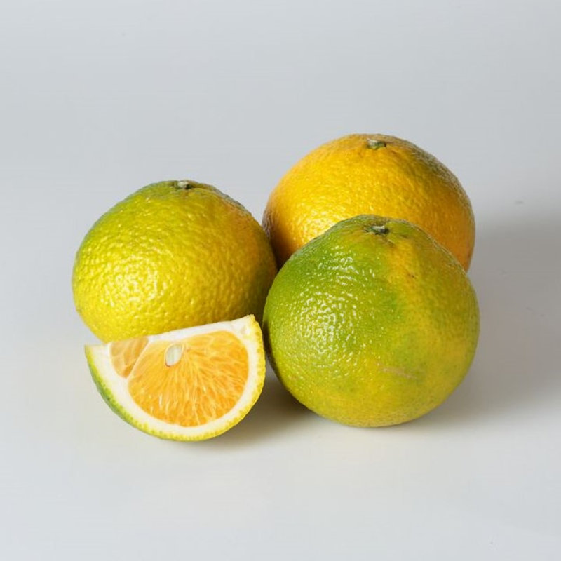 熊本県産　スイートスプリング　グリーン　良品家庭用　サイズ混合　約３ｋｇ