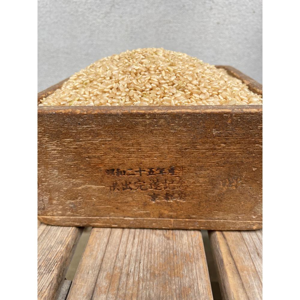令和７年度　京都山城産米　ヒノヒカリ　玄米２０ｋｇ（１０ｋｇ×２）