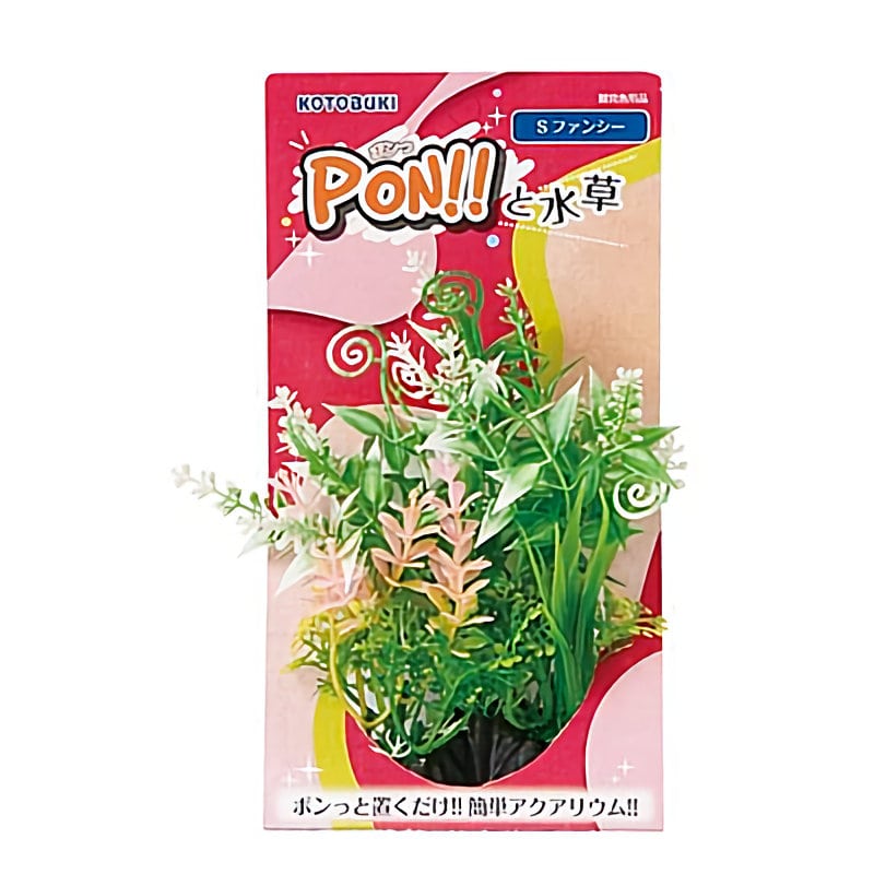コトブキ　ＰＯＮ！！と水草　Ｓ　ファンシー