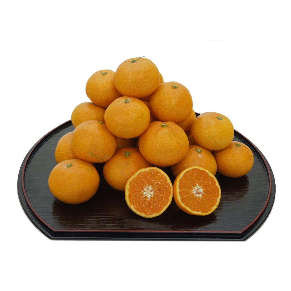 愛媛県産　ミッチーのおみかん畑の温州みかん　サイズ混合　約２ｋｇ