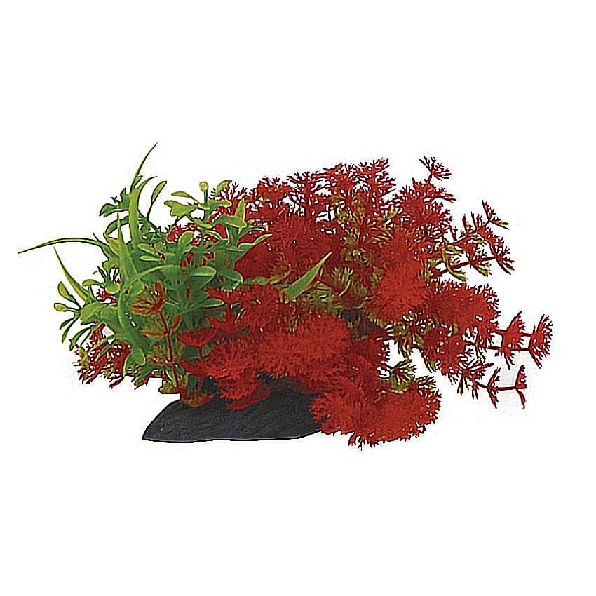 コトブキ　ＰＯＮ！！と水草　曲がるミックス　Ｅ