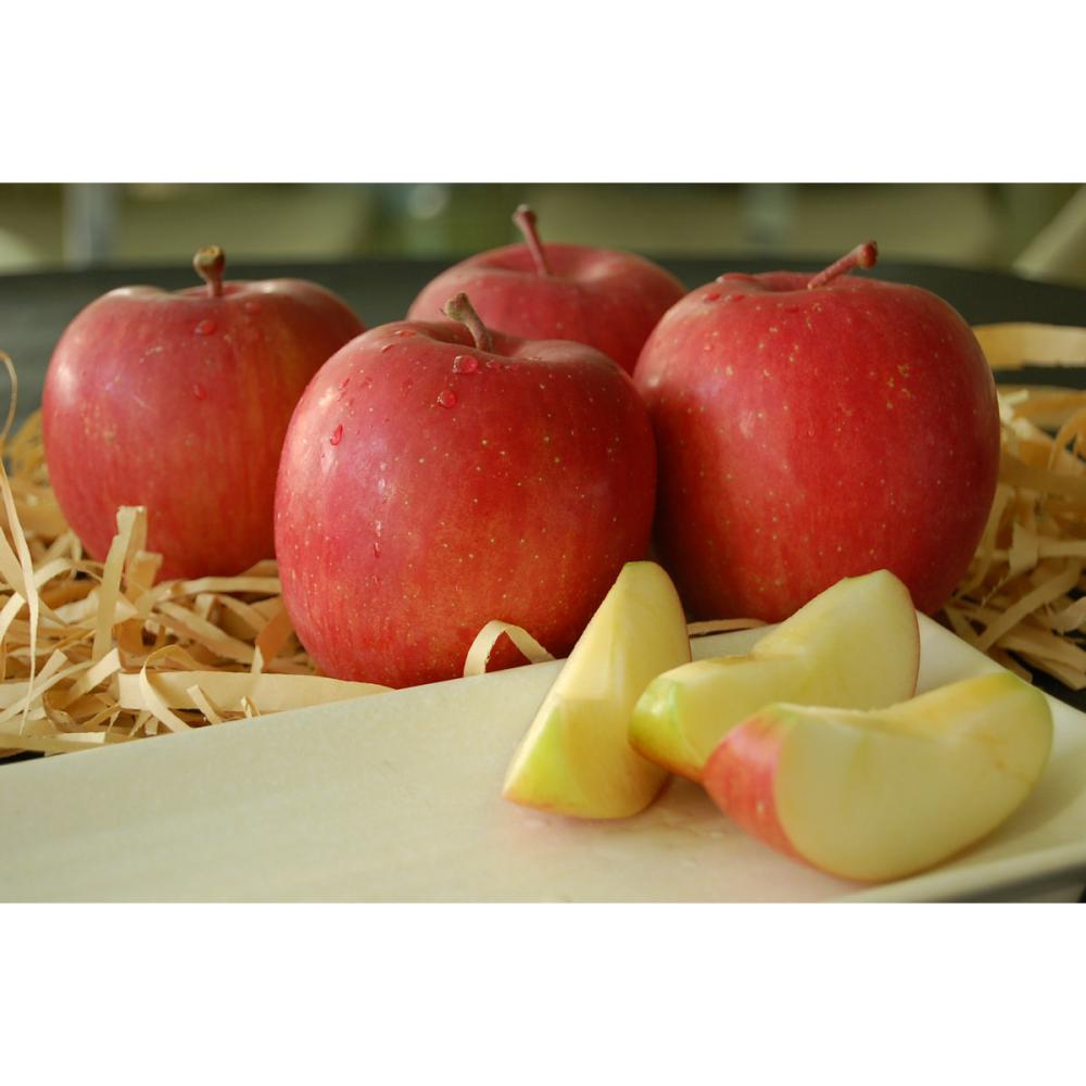 長野県産　サンふじお徳用　約５ｋｇ（１２～２３個）