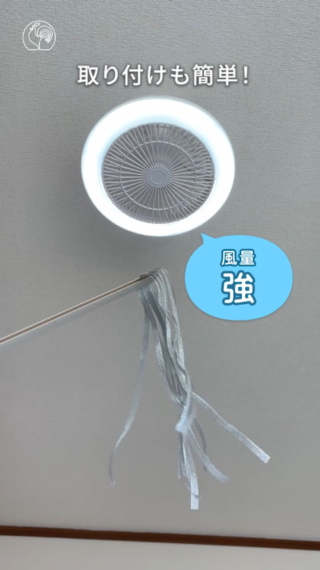 商品動画サムネイル