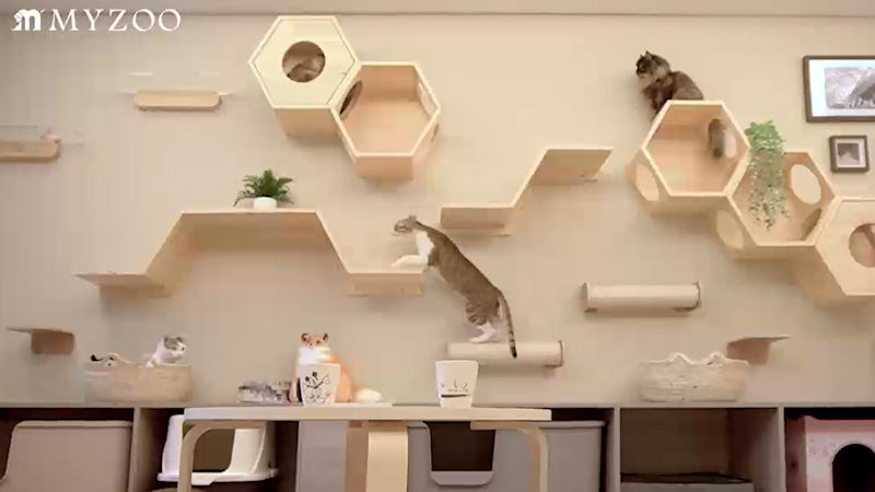 商品動画サムネイル