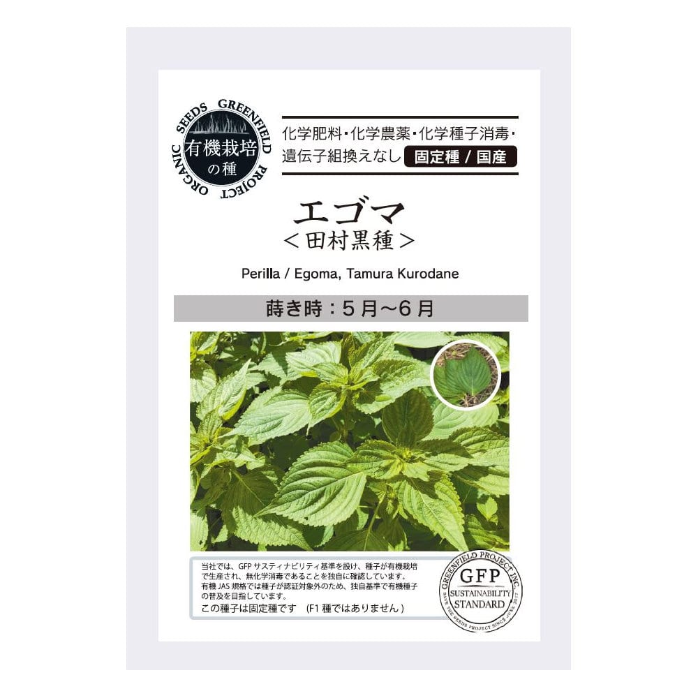 有機栽培の種　エゴマ　＜田村黒種＞