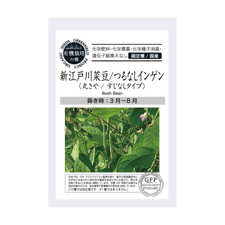有機栽培の種　新江戸川菜豆　つるなしインゲン