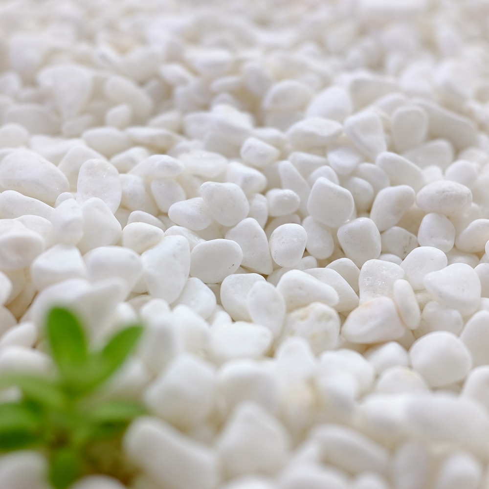 大光産業（ＴＡＩＫＯＨ）　高級白玉石　白仙　２分　６－９ｍｍ　１０ｋｇ