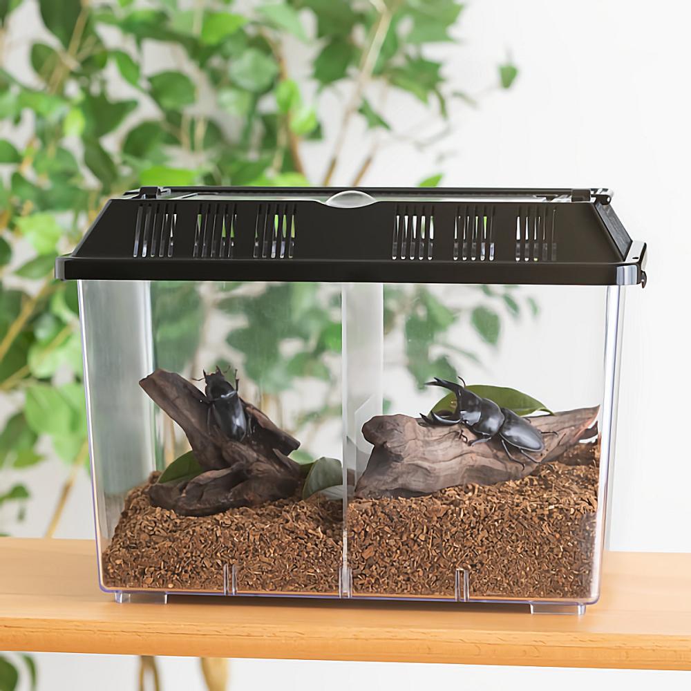 飼育ケースまとめて+飼育マット2つ Petami 2つの部屋に分けられる飼育ケース の通販
