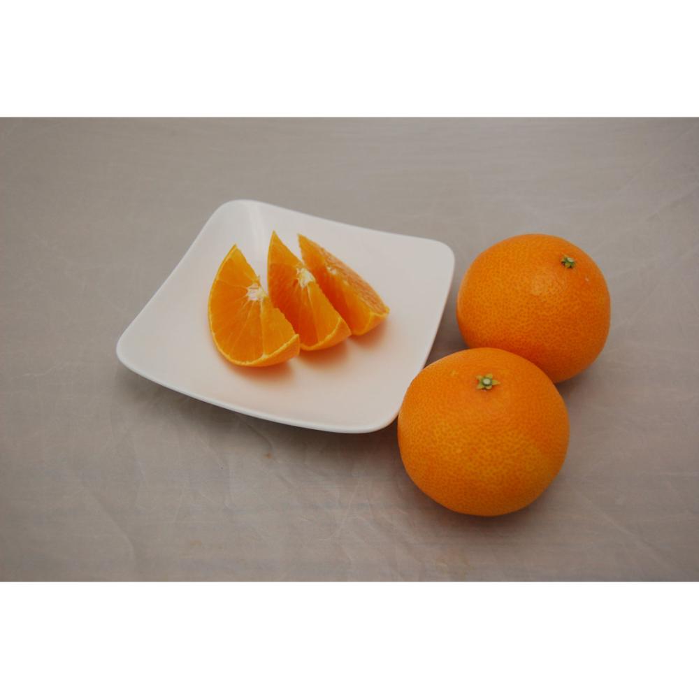 愛媛県産　あいなんプリンセス　家庭用　約５ｋｇ