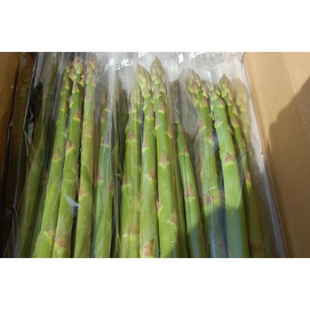 栃木県日光市産　夏アスパラガス　約５００ｇ