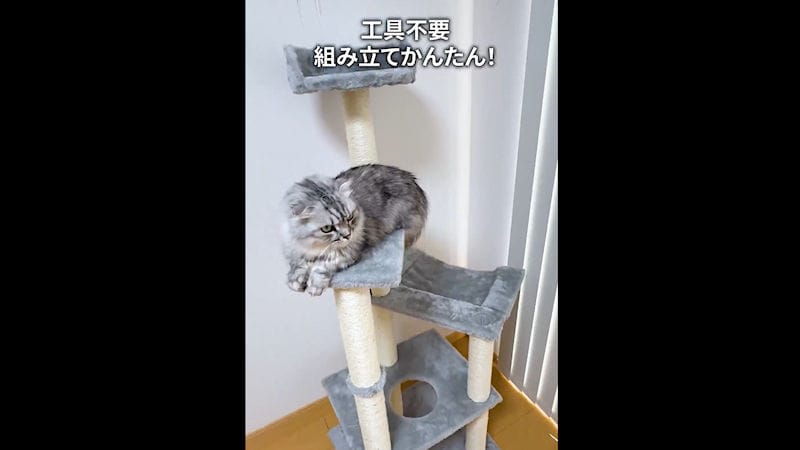商品動画サムネイル