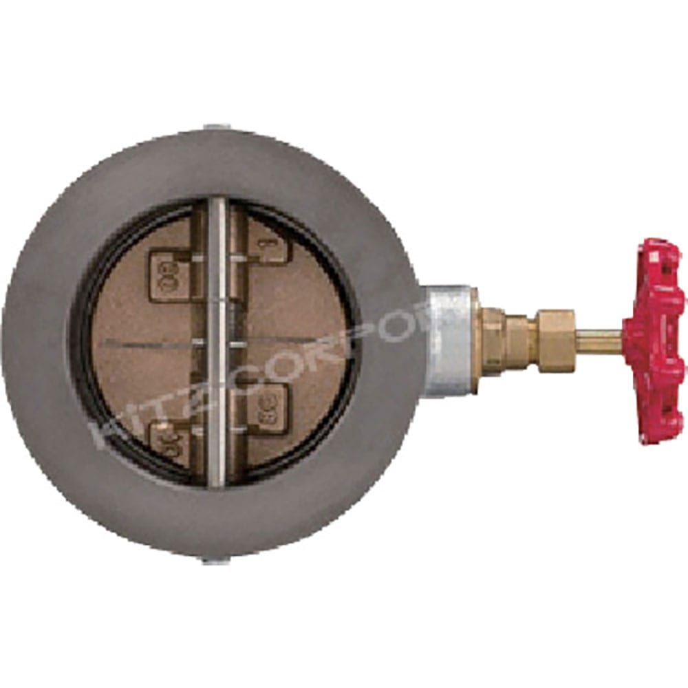 ＫＩＴＺ　鋳鉄ウエハチャッキ５０Ａ　１０ＦＷＺ５０＿