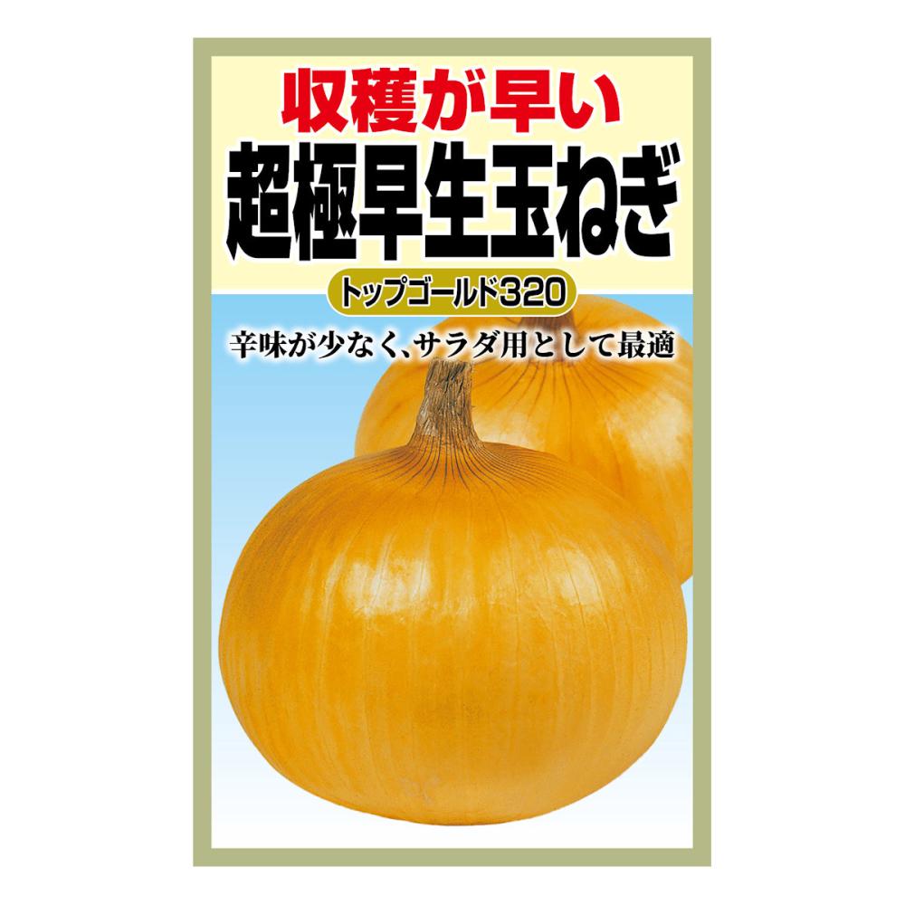トップ ゴールド 320