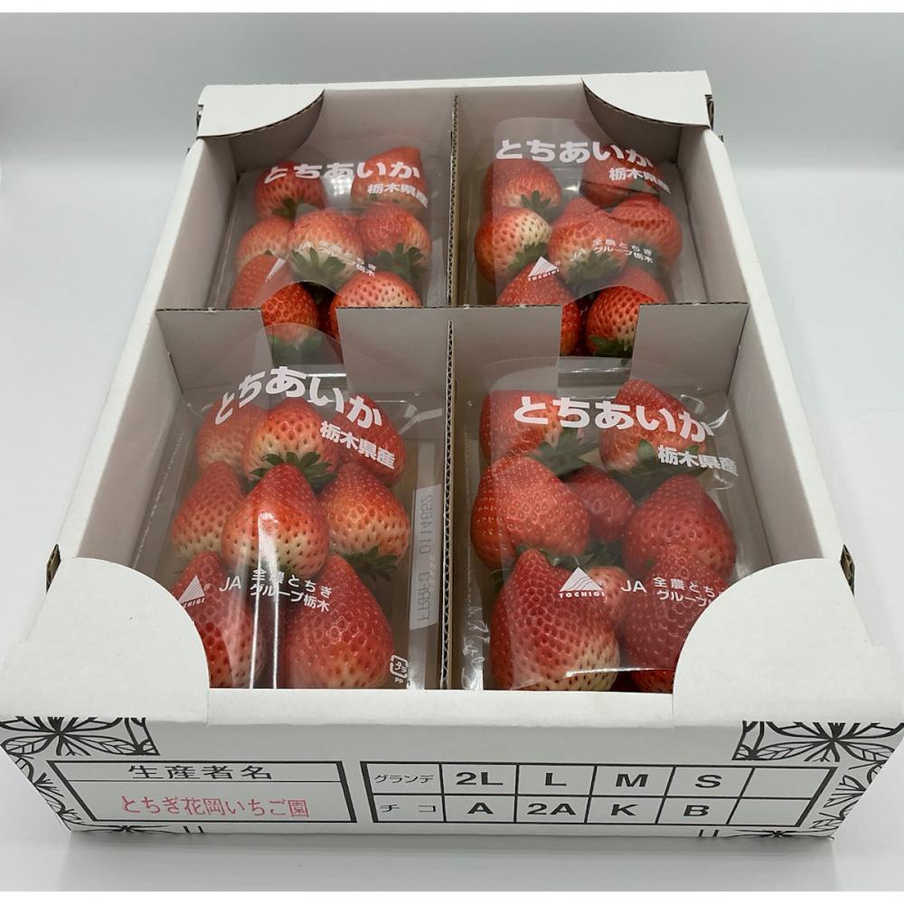 栃木県産　とちあいかいちご　約１ｋｇ（約２６０ｇ×４パック）