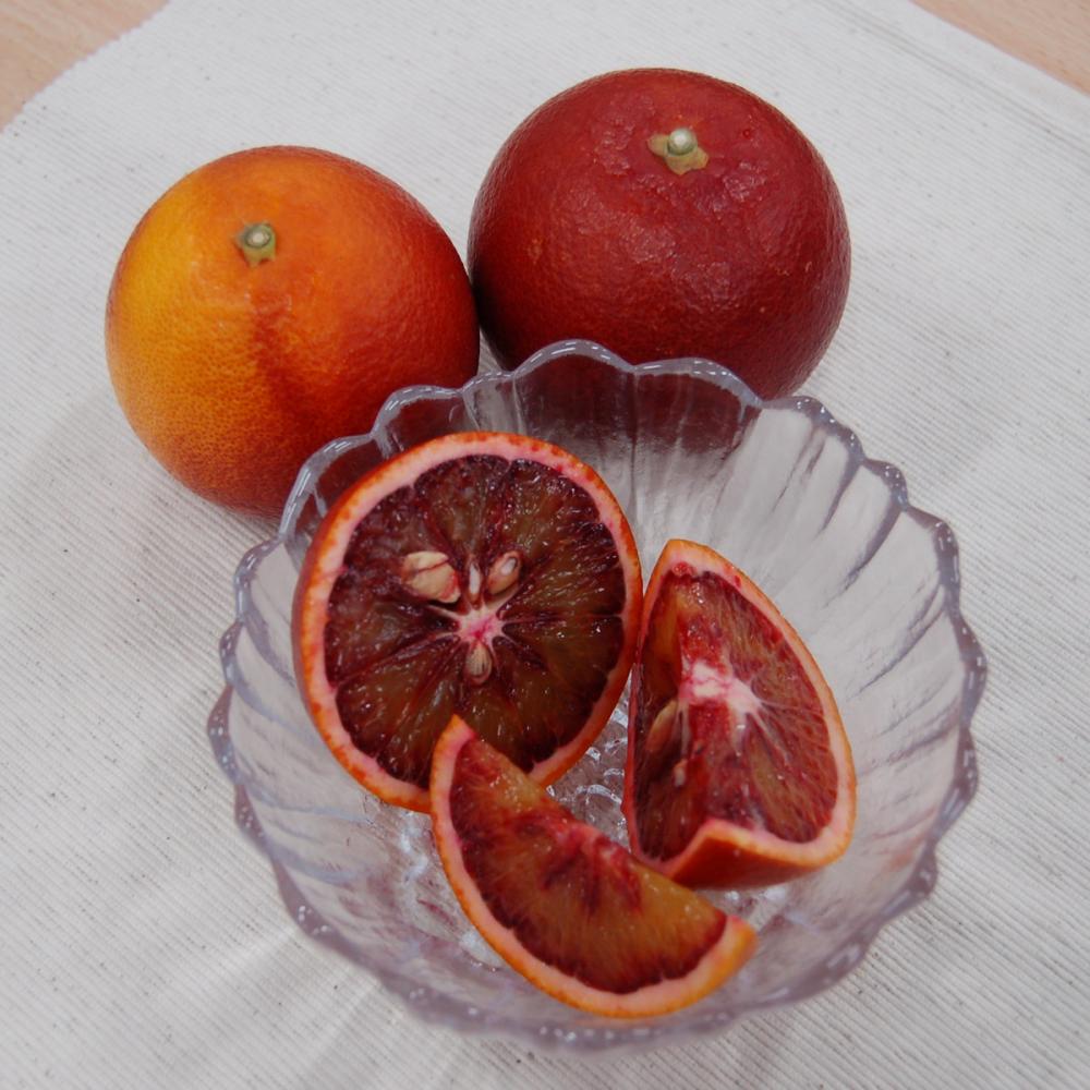 熊本県産　ブラッドオレンジ（モロ）　良品家庭用　サイズ混合　約５ｋｇ（４０玉前後）