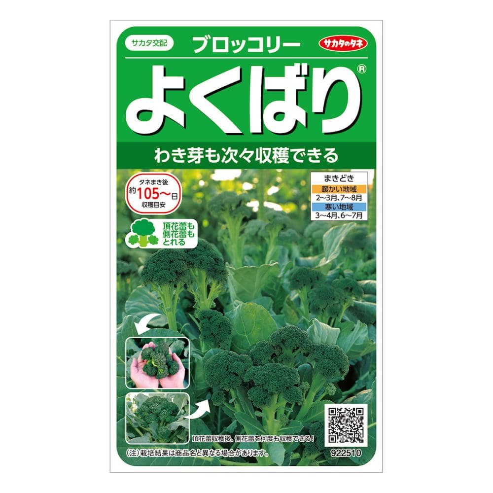 サカタのタネ ブロッコリー種子 よくばり の通販 | ホームセンター
