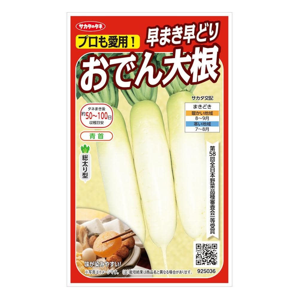 サカタのタネ ダイコン種子 早まき早どりおでん大根 の通販
