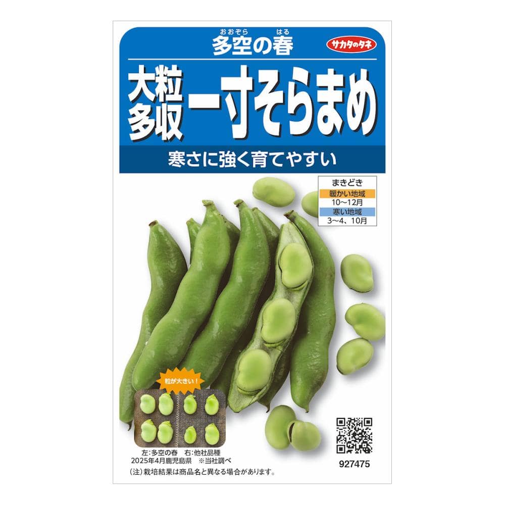 そらまめさま専用 サカタのタネ ソラマメ種子 たくさんとれる一寸そらまめ の通販