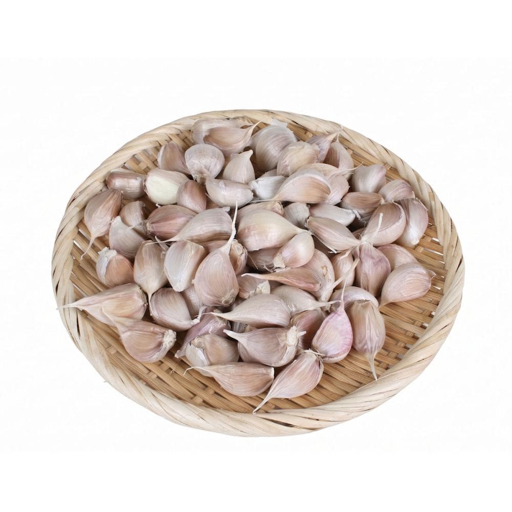 【秋予約】　種用ニンニク　嘉定種（中国産）　バラ５ｋｇ　【申込期限：９月２０日】【引渡予定日：１０月３日～１１日】
