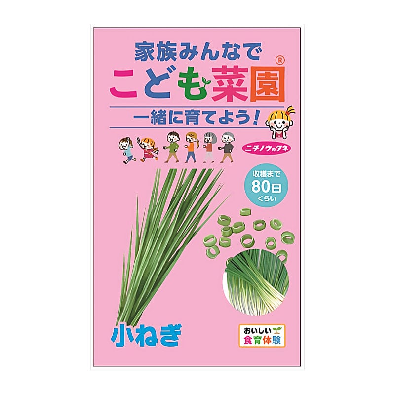 ニチノウのタネ　こども菜園　小ねぎ