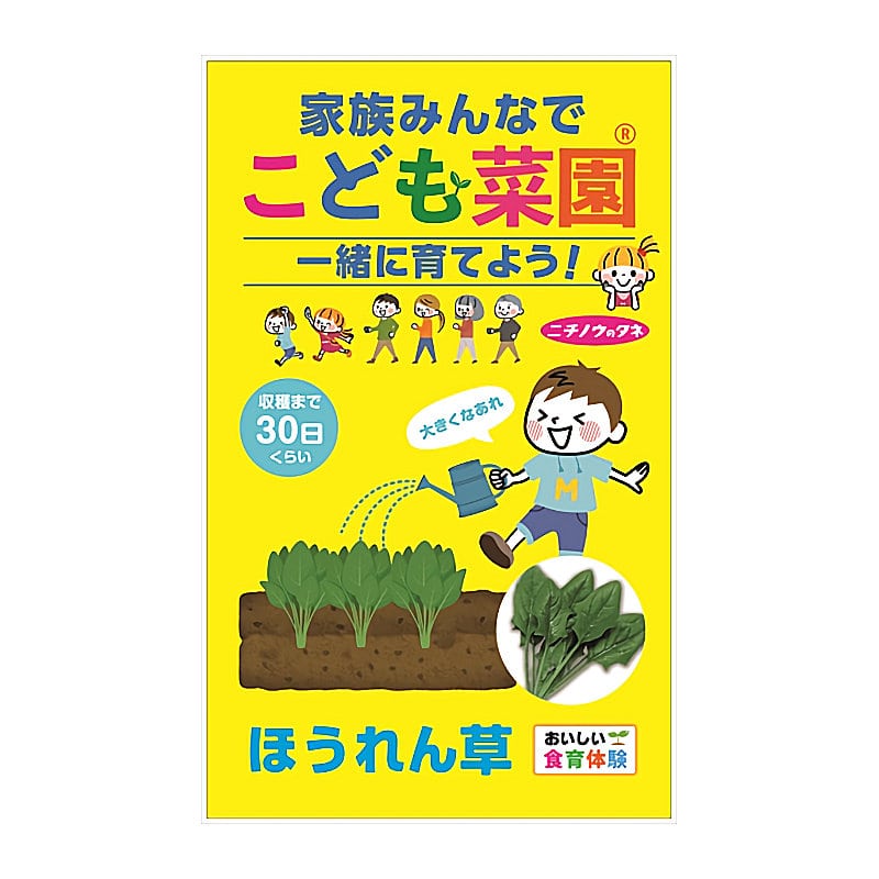 ニチノウのタネ　こども菜園　ほうれん草