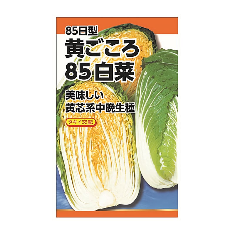 ニチノウのタネ　ハクサイ種子　黄ごころ８５白菜