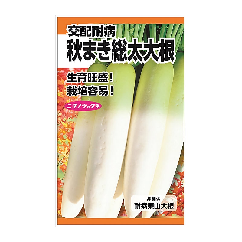 ニチノウのタネ　ダイコン種子　耐病秋まき総太大根
