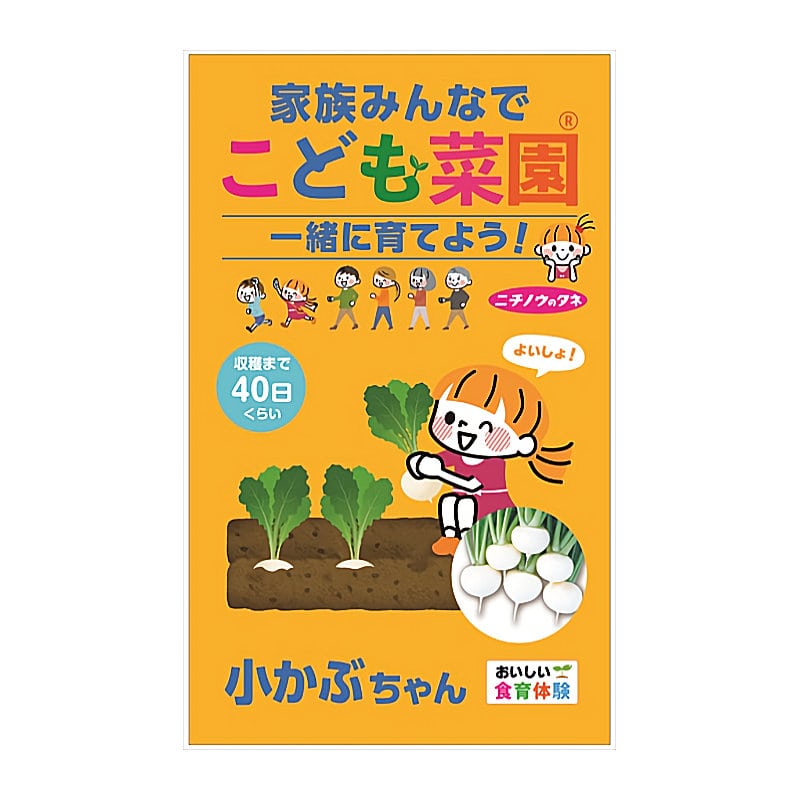 ニチノウのタネ　こども菜園　カブ種子　小かぶちゃん
