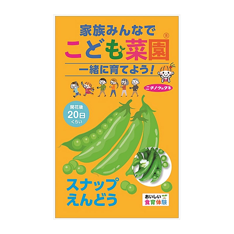ニチノウのタネ　こども菜園　スナップえんどう