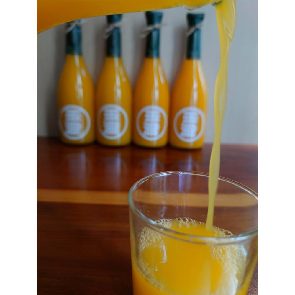 愛媛県産　ポンカンジュース　７２０ｍＬ　４本