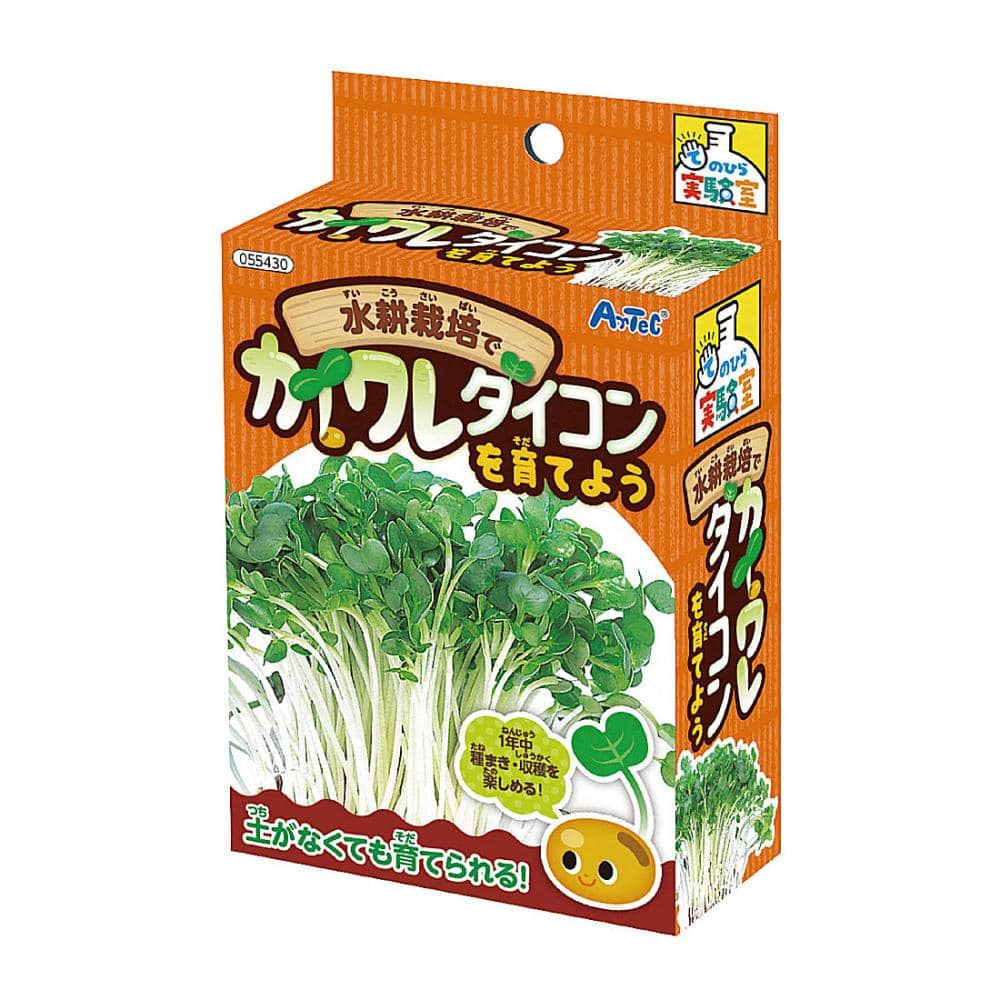 アーテック　てのひら　水耕栽培でカイワレダイコンを育てよう