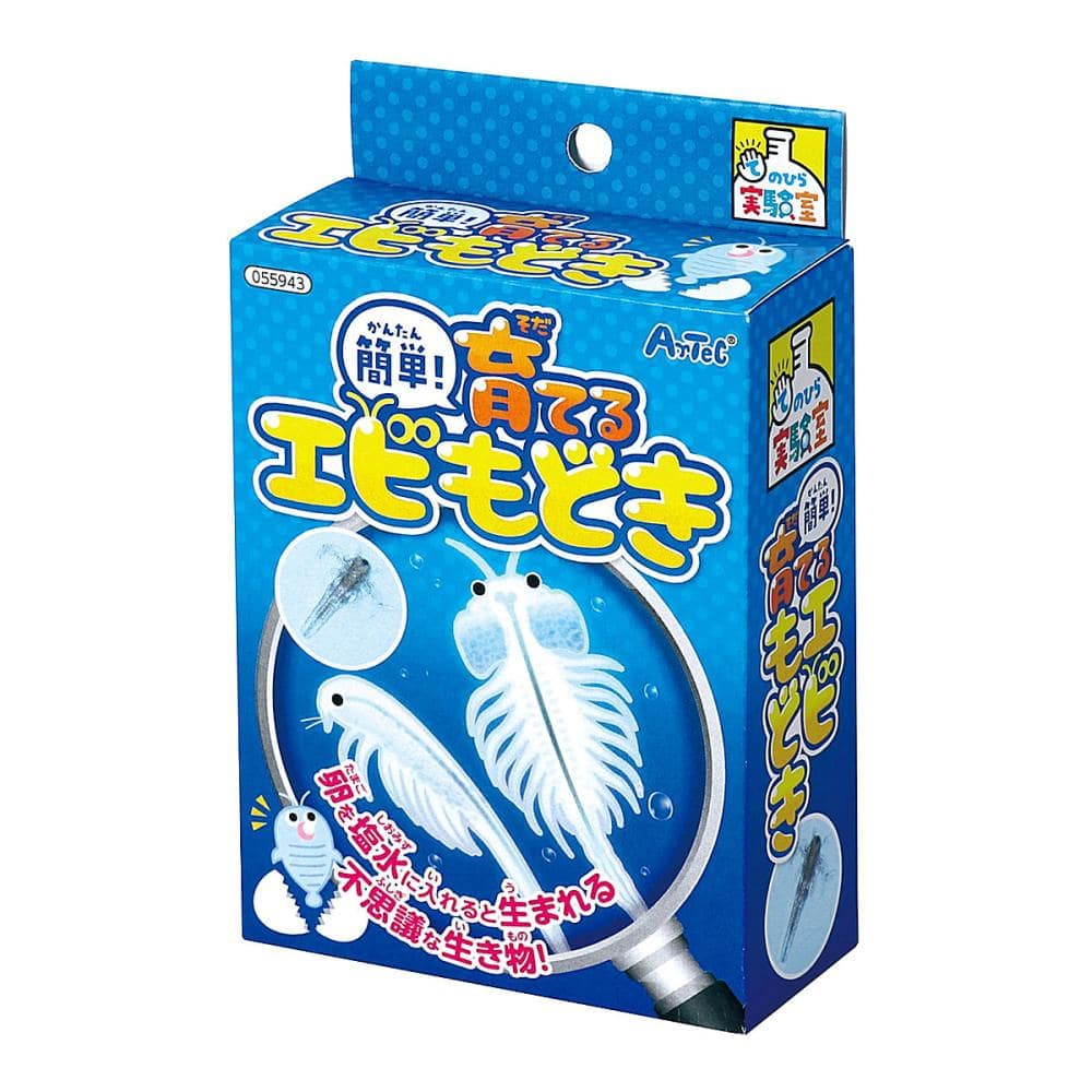 アーテック　簡単！育てるエビもどき