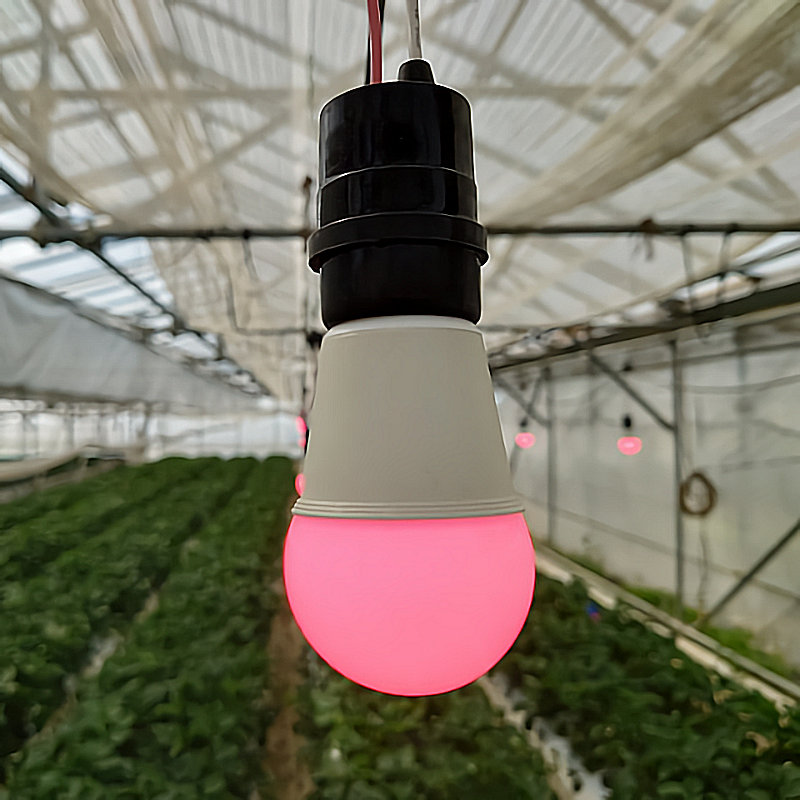 農業向けＬＥＤ赤色電球　ＬＤＡ８ＡＧＲＩＬＥＤ－Ｇ／Ｓ－ＶＦ