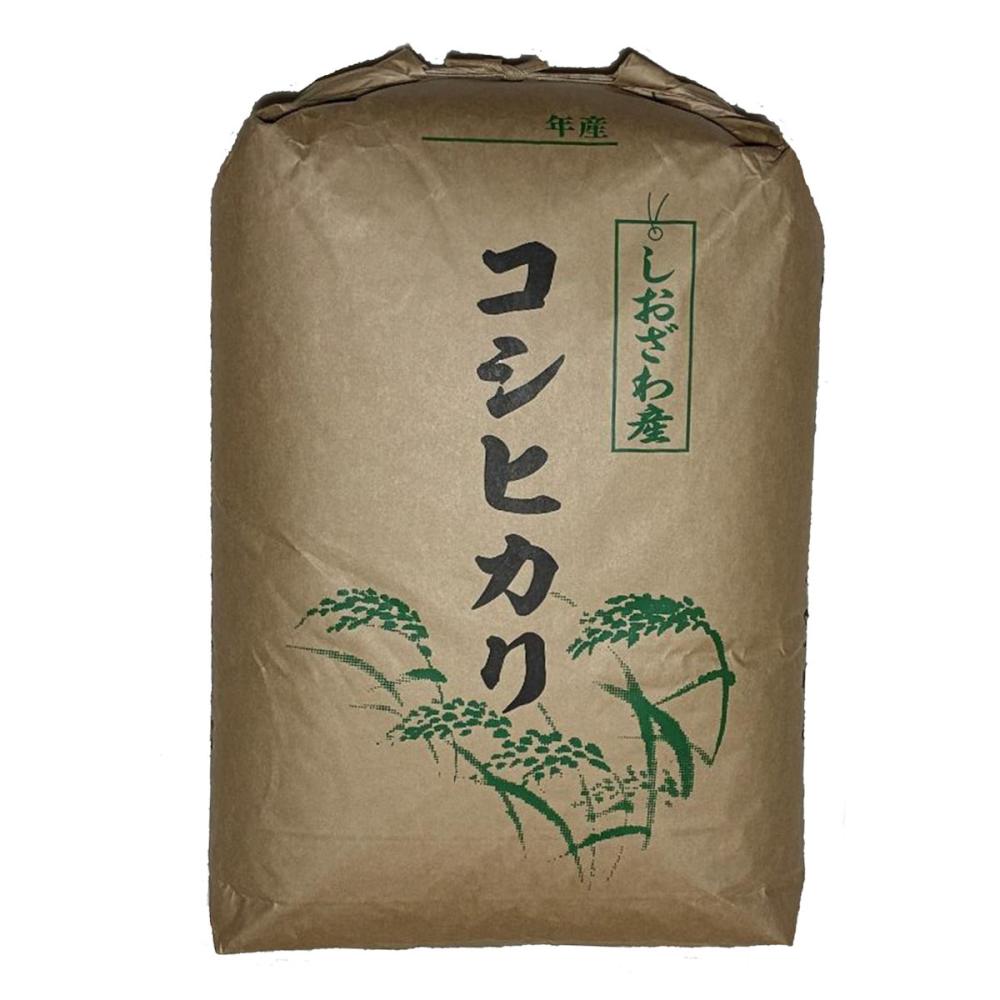 令和8年度 福井県産コシヒカリ 玄米30kg の通販 | ホームセンター