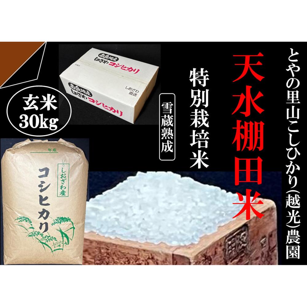 令和8年度 新潟県南魚沼産コシヒカリ 棚田特別栽培米 玄米30kg の
