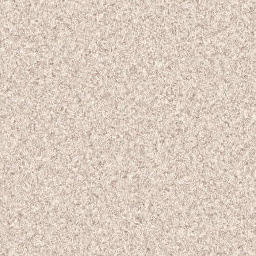 E25202