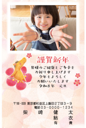 プリンター写真タイプ