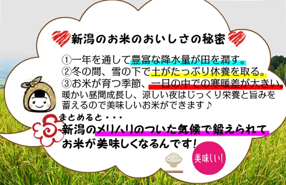 新潟のお米のおいしさの秘密