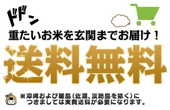 送料無料