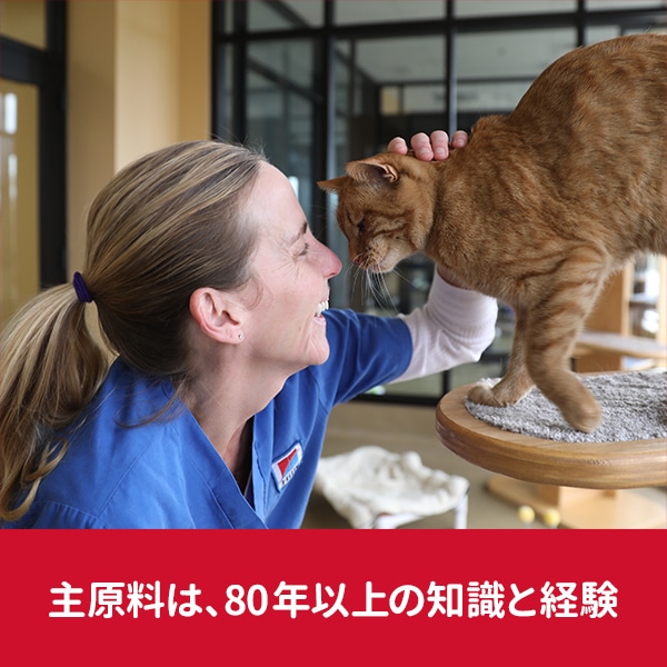 ヒルズ サイエンス ダイエット 避妊 去勢後 ６歳 チキン ２ ８ｋｇの通販 ホームセンター コメリドットコム
