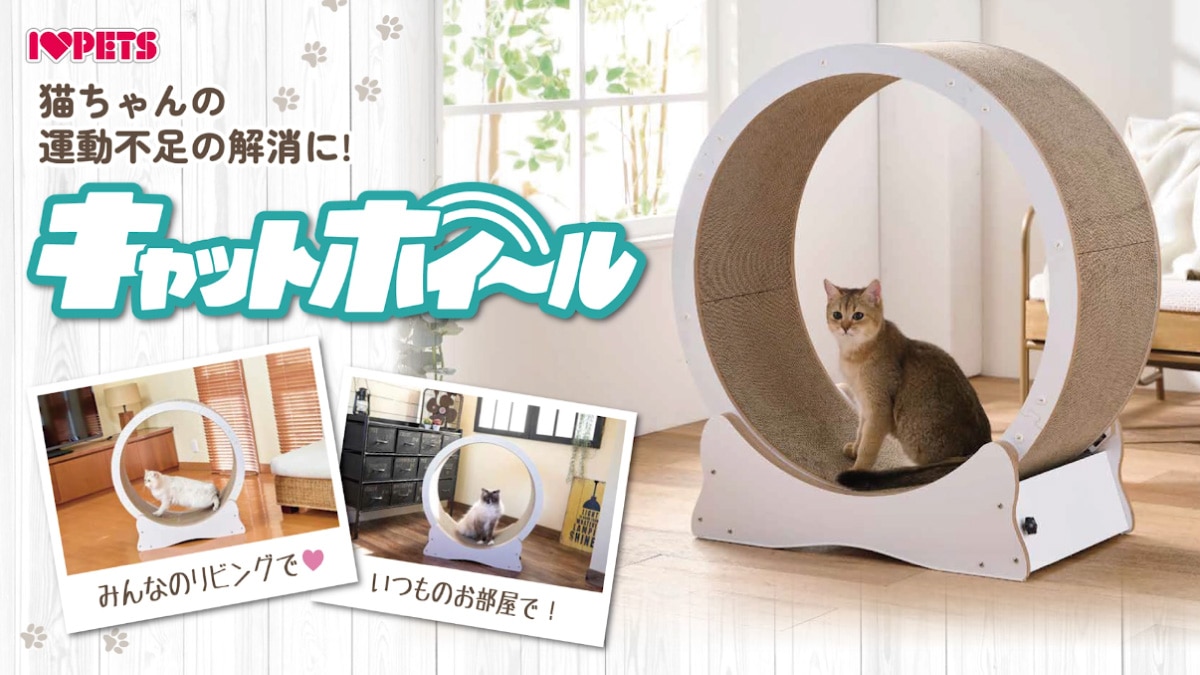 キャットホイール ホワイト の通販 | ホームセンター コメリドットコム