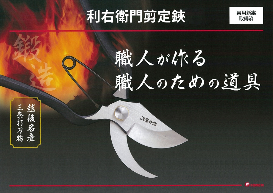 Eq噒oT~